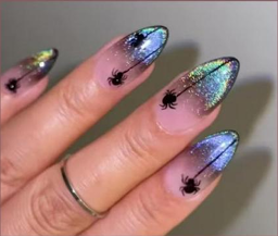 Cosmic Web