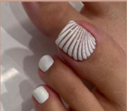 Seashell Sugar